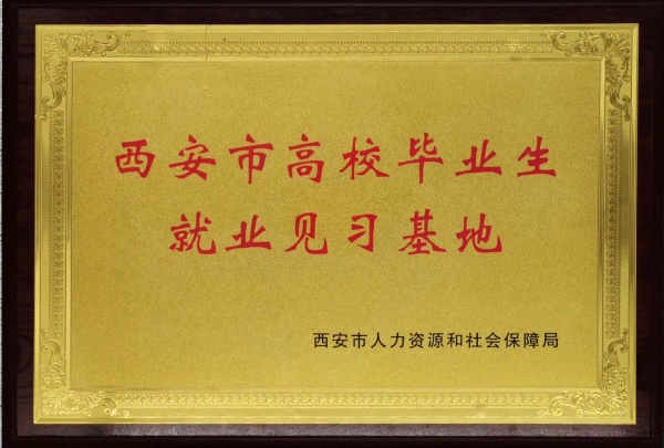 陕西匠心艺品非物质文化遗产传承有限公司