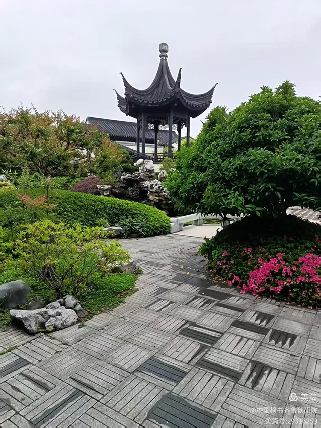 1781092245625048.jpg 齐鲁榜书万里行第233站 走进青岛桃李春风