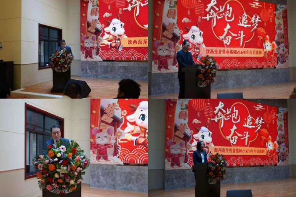 秦龙乳业集团