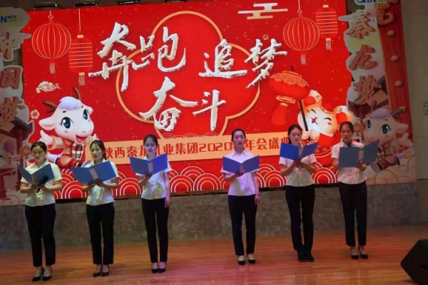 秦龙乳业集团