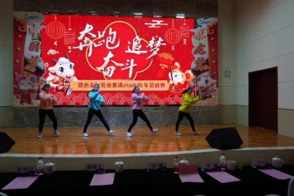 秦龙乳业集团