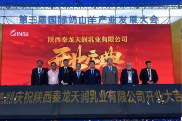 秦龙乳业集团