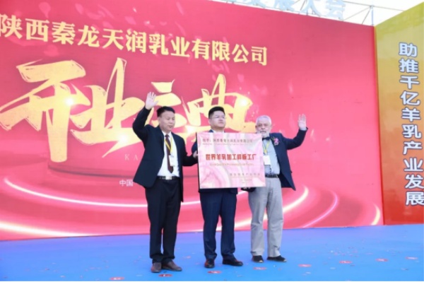 秦龙乳业集团