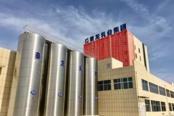 秦龙乳业集团
