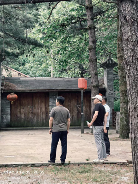 杨凌绿阳