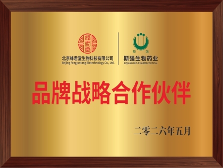 品牌战略合作