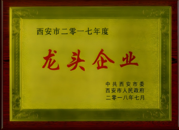 陕西秦龙乳业集团有限公司