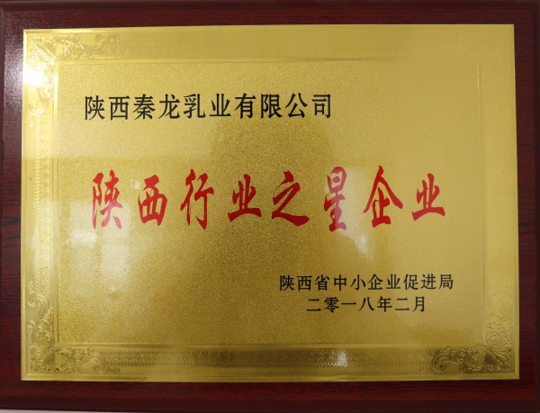 陕西秦龙乳业集团有限公司