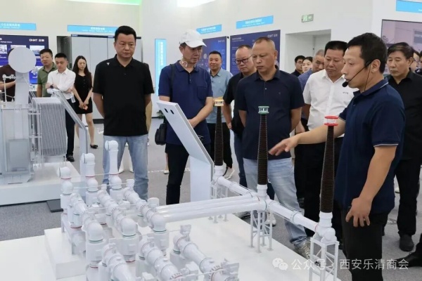 西安乐清商会