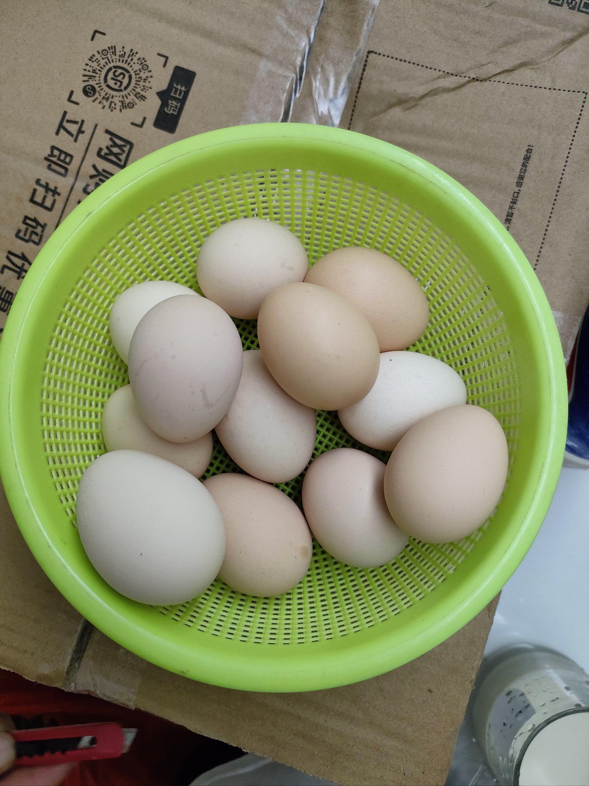 鸡蛋