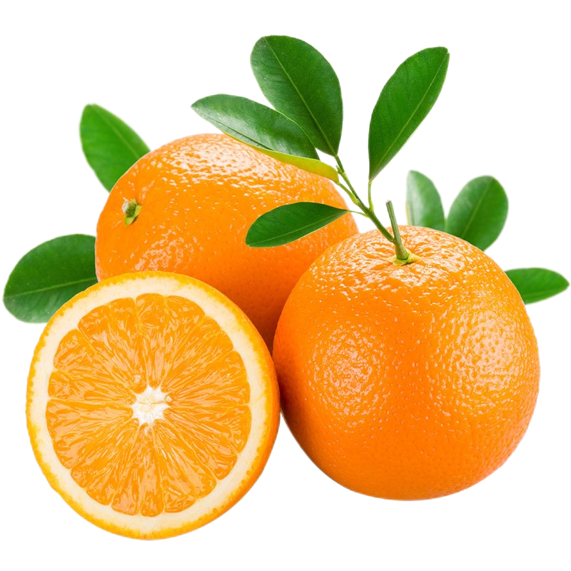 爱媛