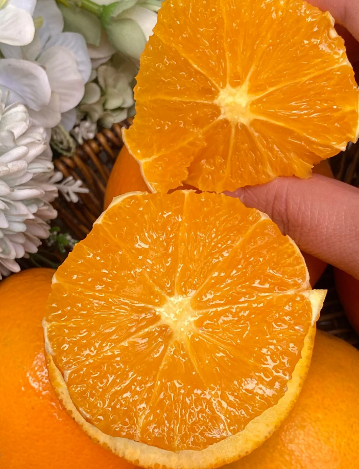 脐橙