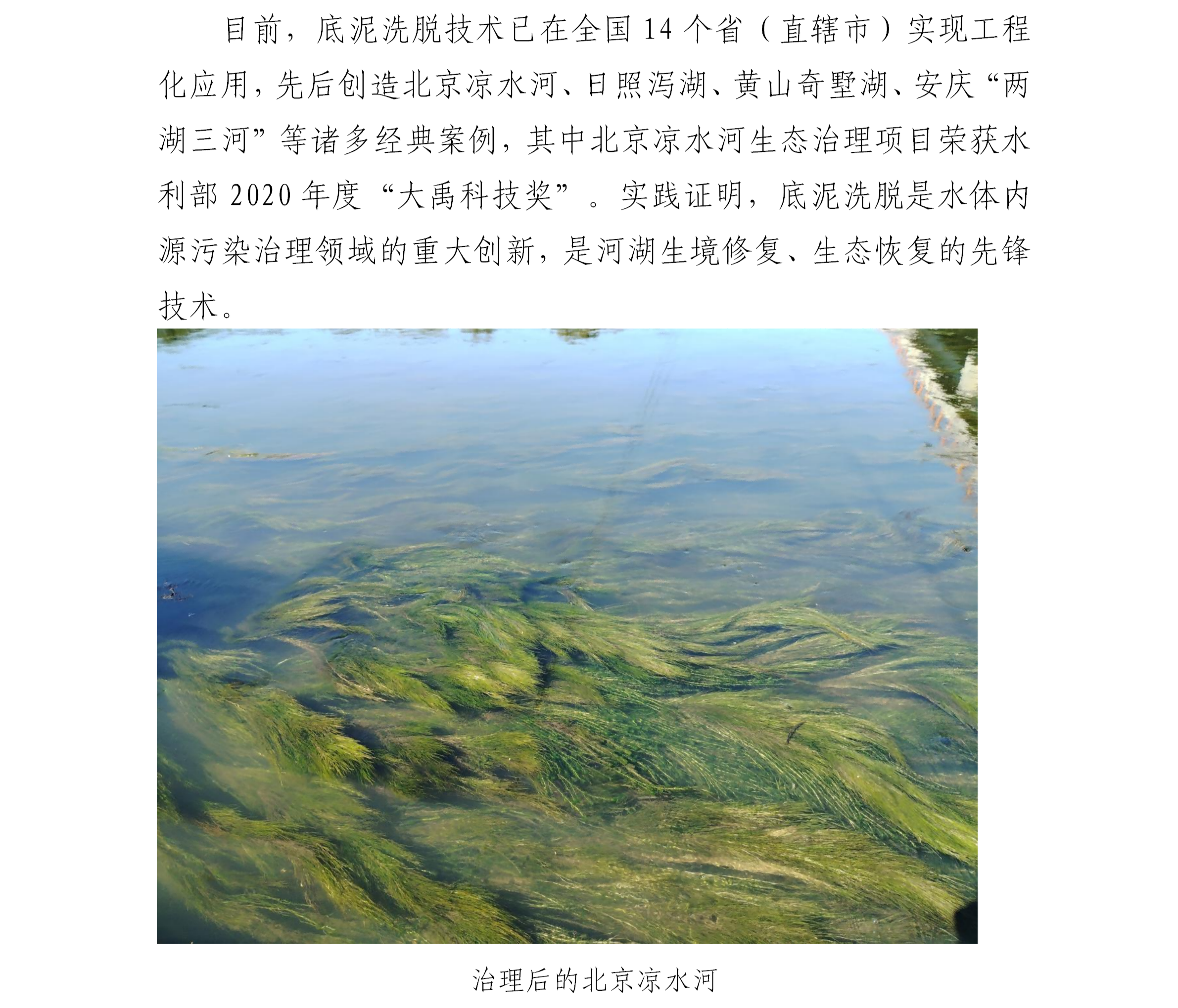 天津阜春河