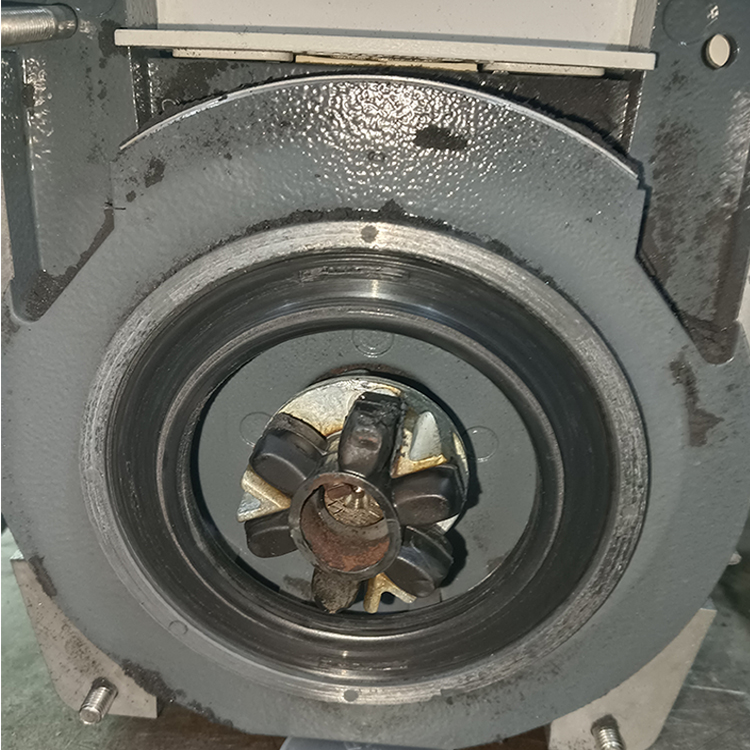 1782713951161364.jpg 普发Pascal 2021 SD真空泵