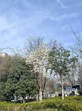 陕西文华建筑景观工程有限公司