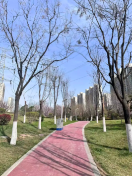 陕西文华建筑景观工程有限公司