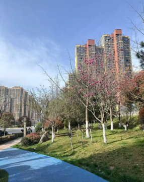 陕西文华建筑景观工程有限公司