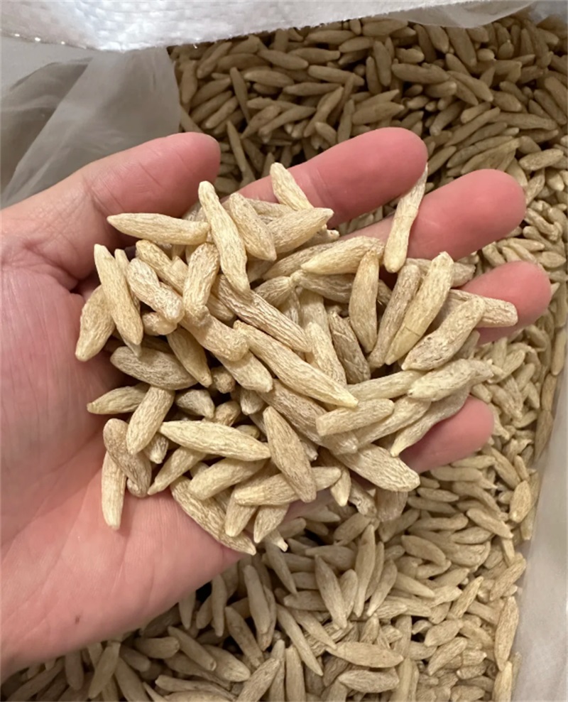 麦冬