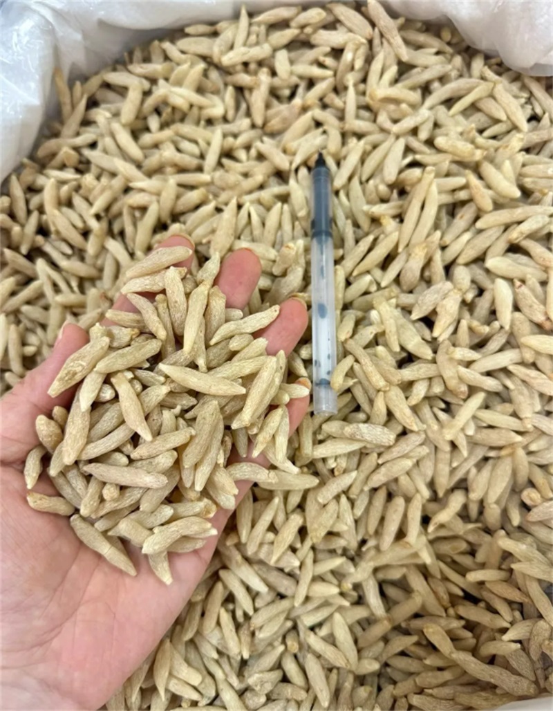 麦冬