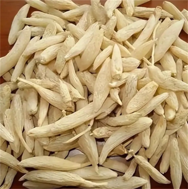 麦冬