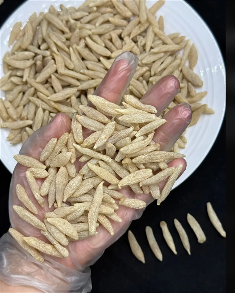 麦冬