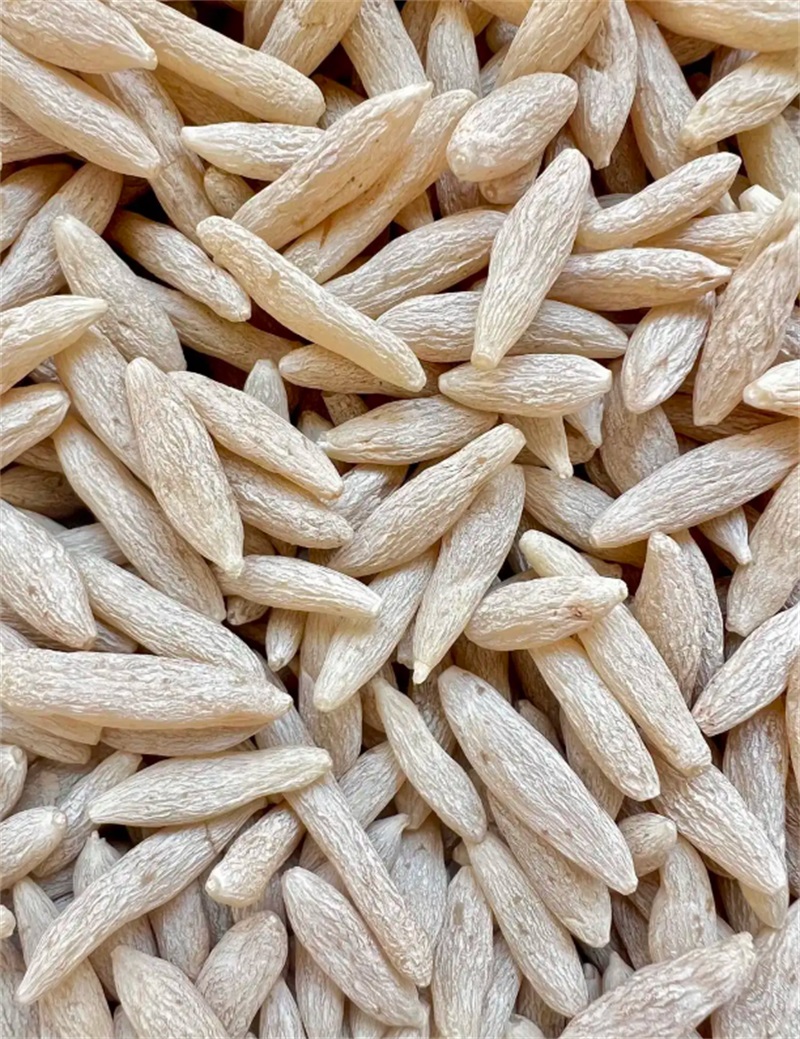麦冬