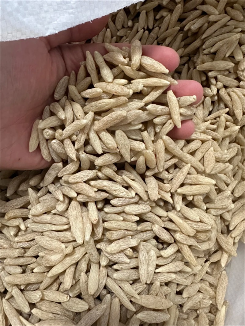 麦冬