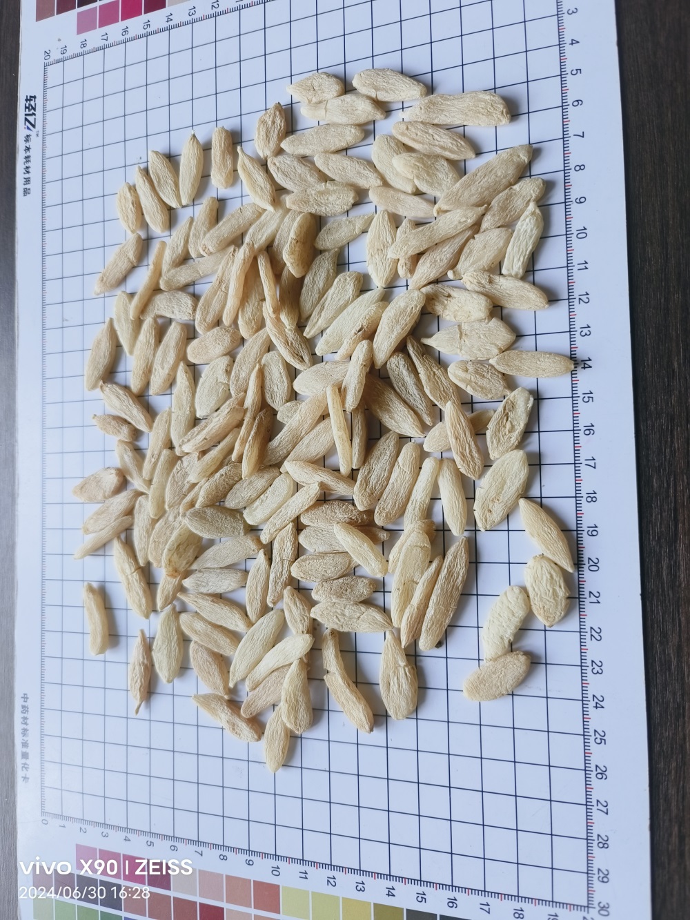麦冬小米