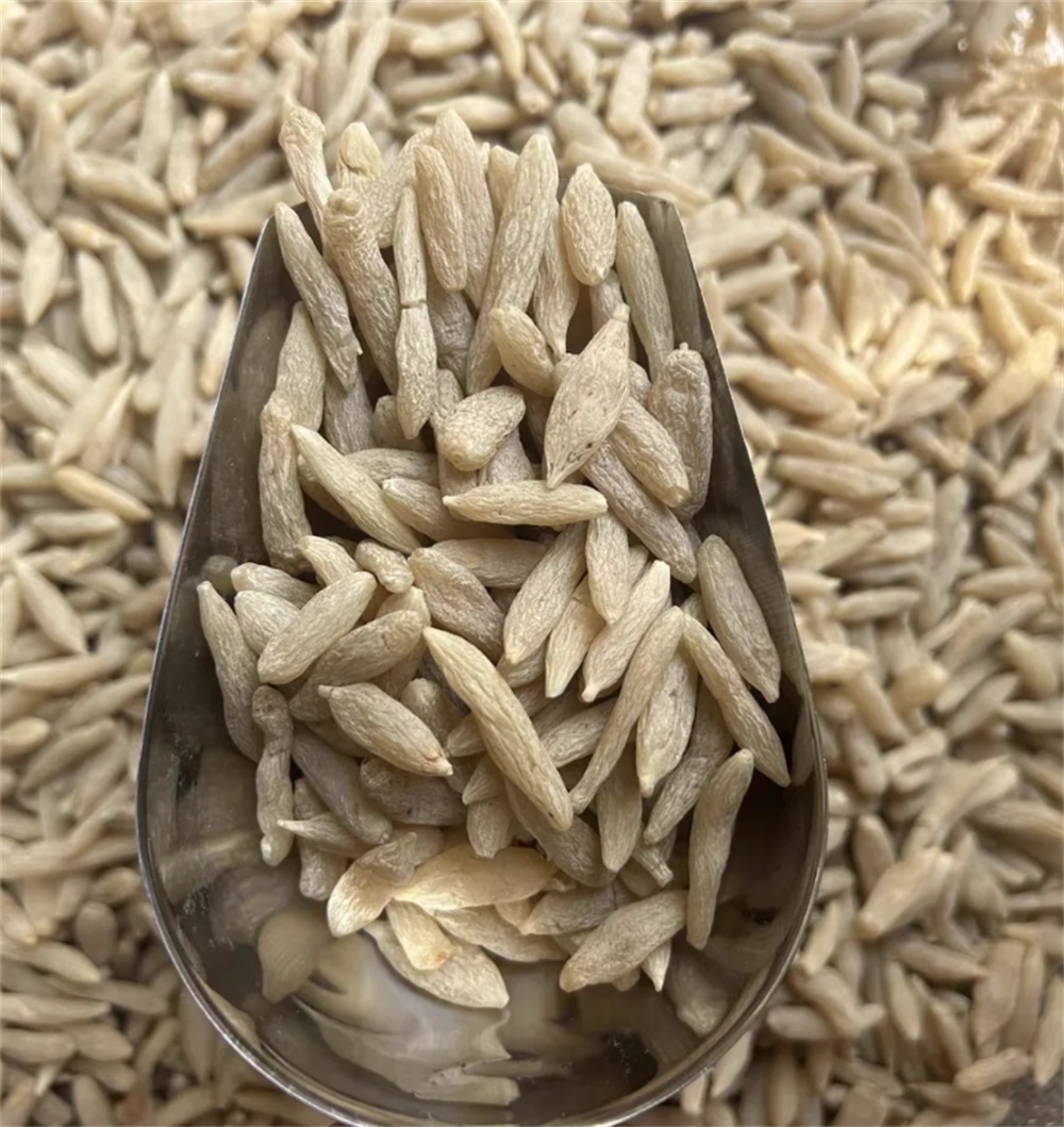 麦冬小米