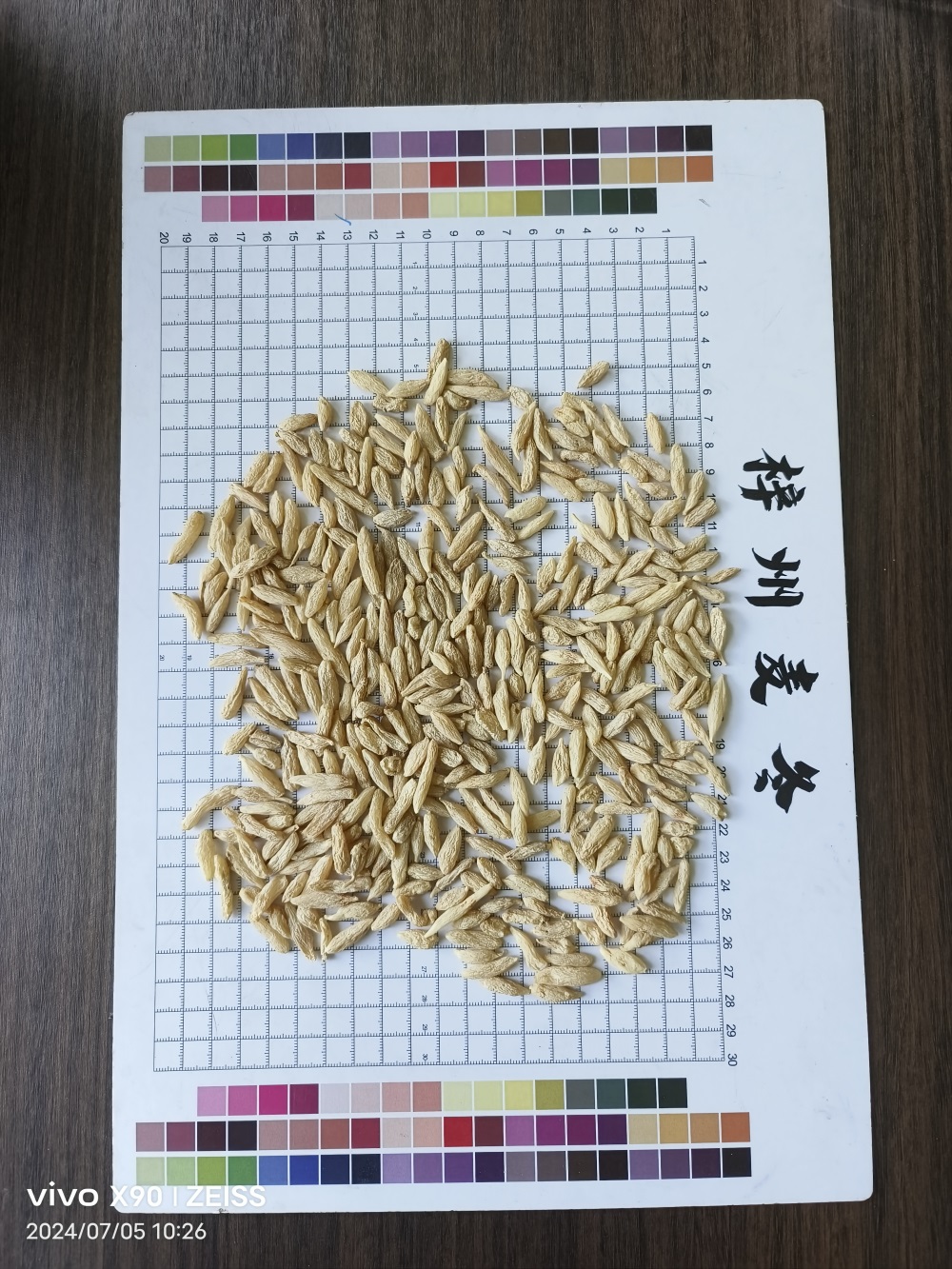 麦冬小米