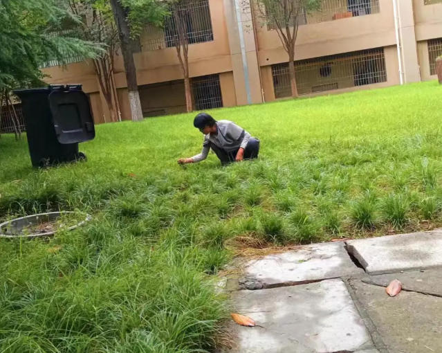 环境管理