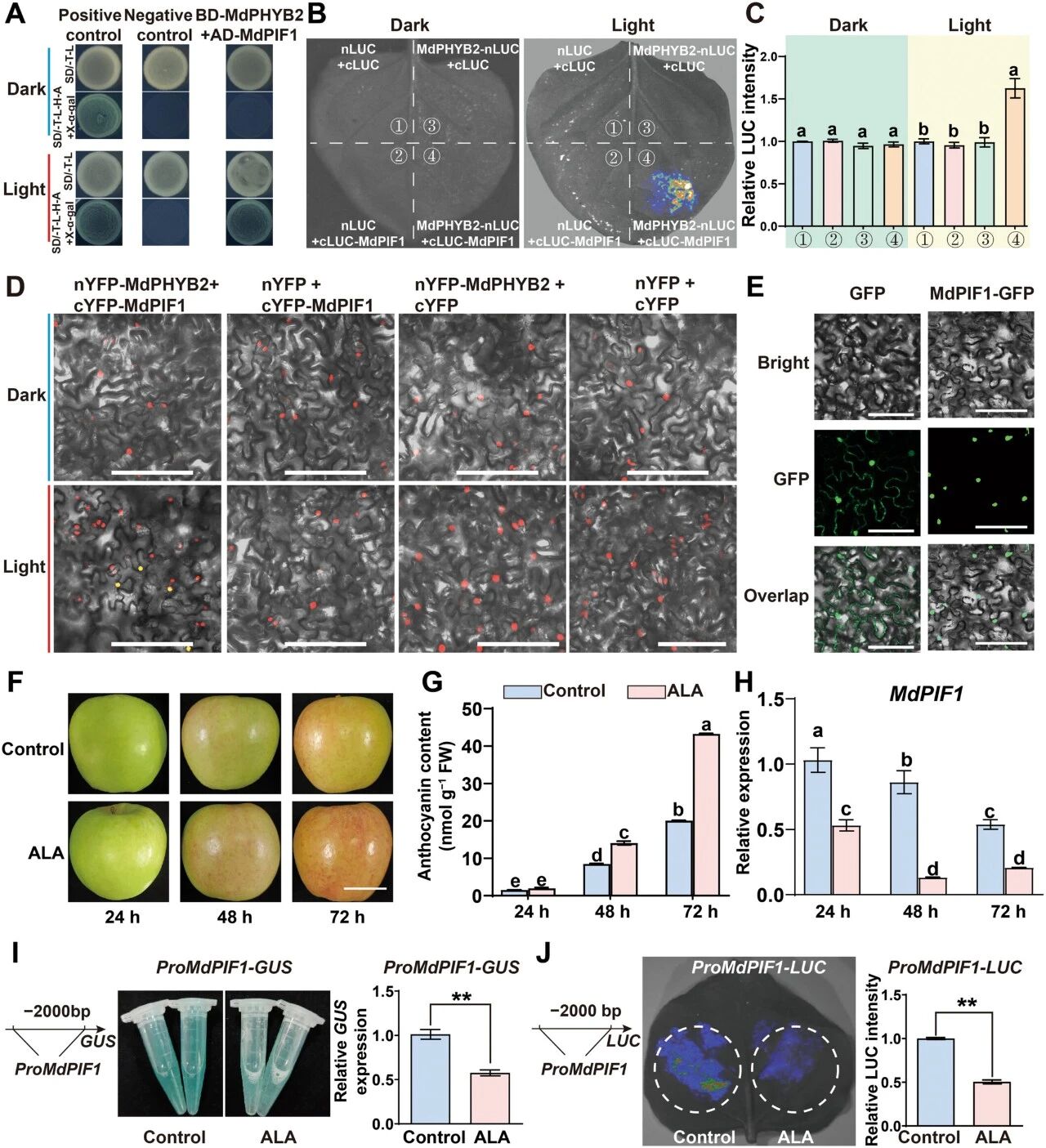 1783151537324971.jpg 汪良驹教授