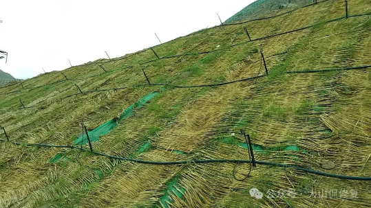 煤矸石边坡植被恢复技术应用方案