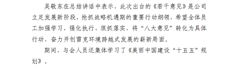 雷克环境