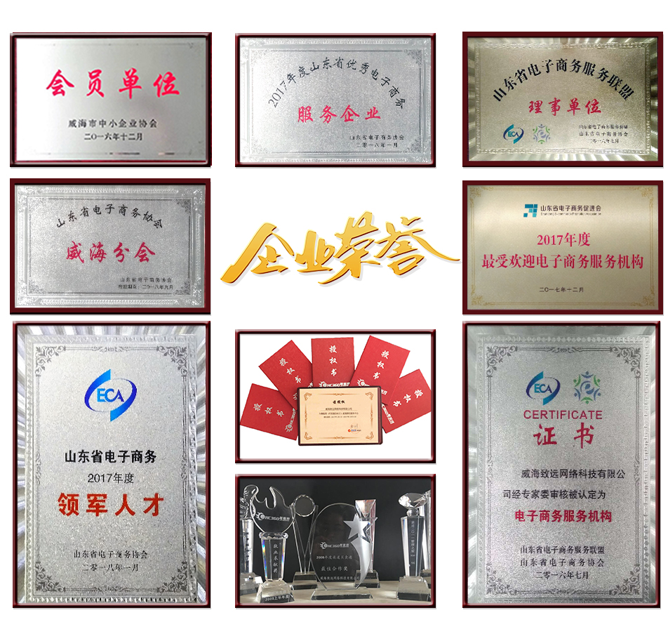 威海致远网络科技有限公司