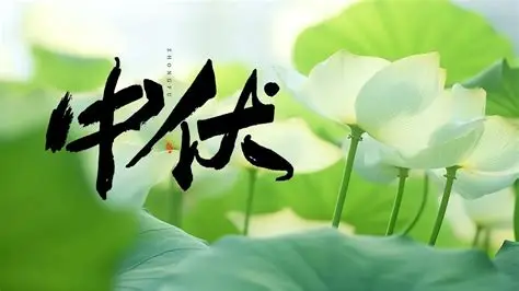 中伏养生