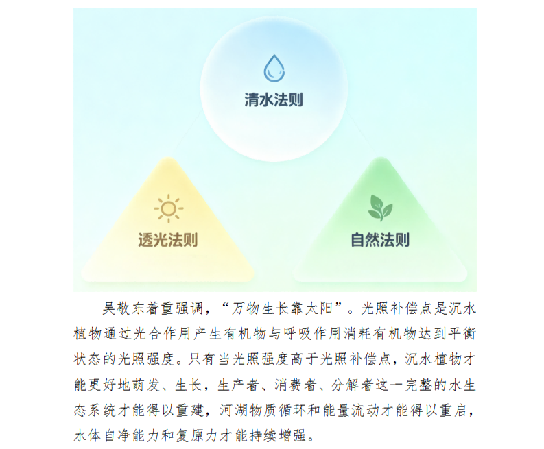 水生态修复