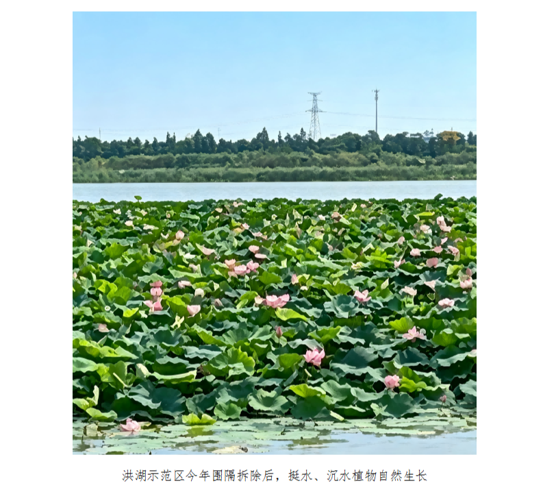 水生态修复