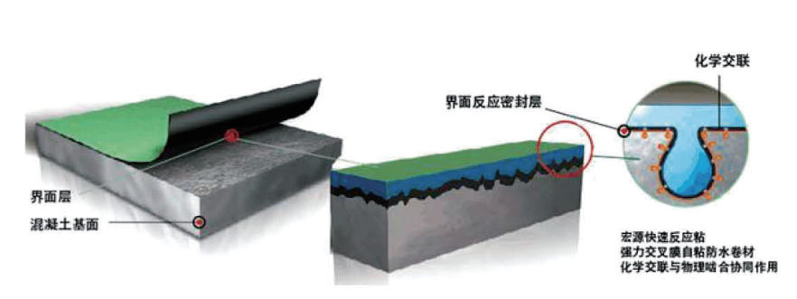 快速反应粘强力交叉膜自粘防水卷材