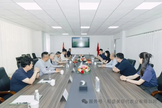 盐碱荒滩绘稻梦！