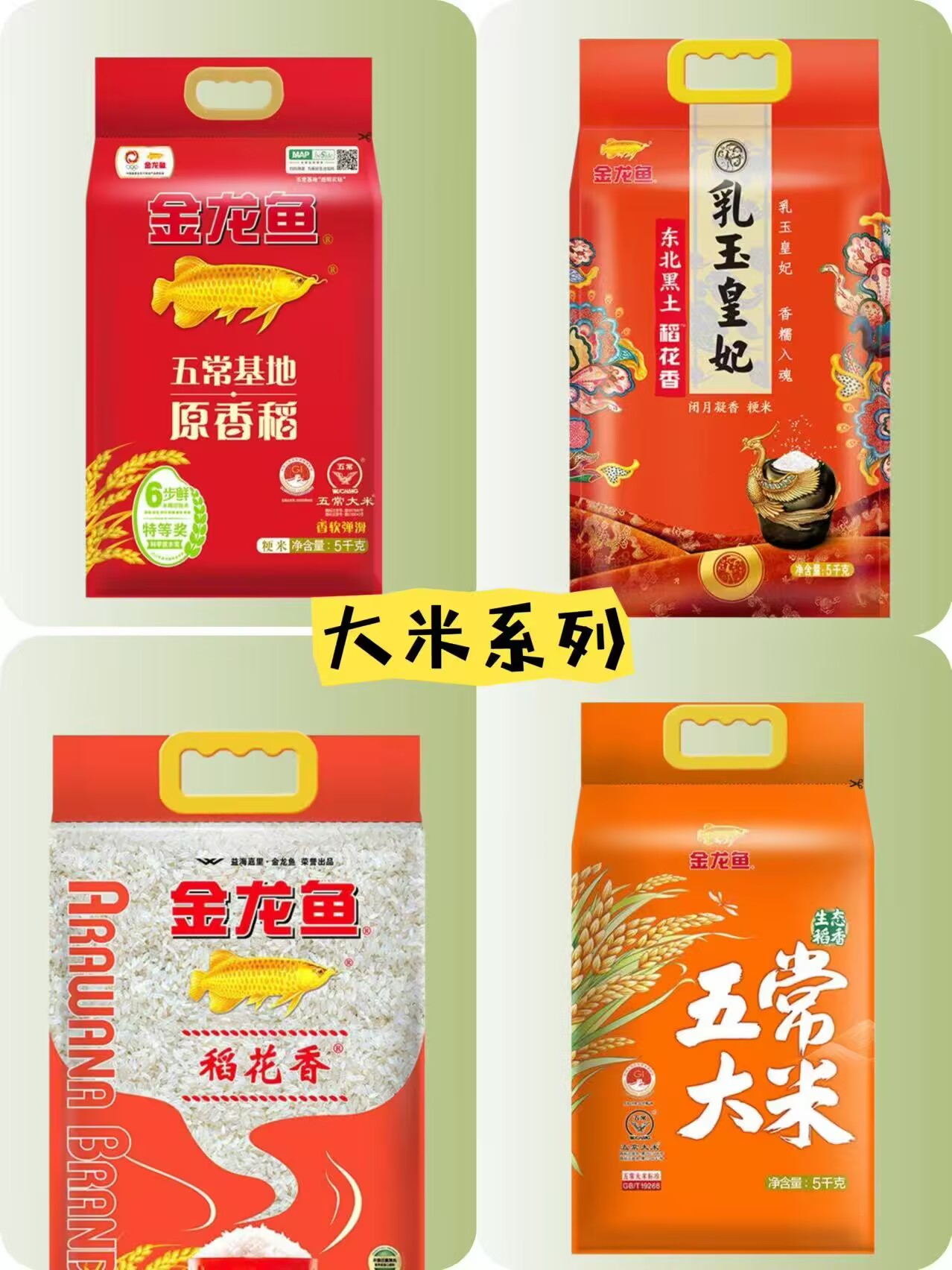胡姬花