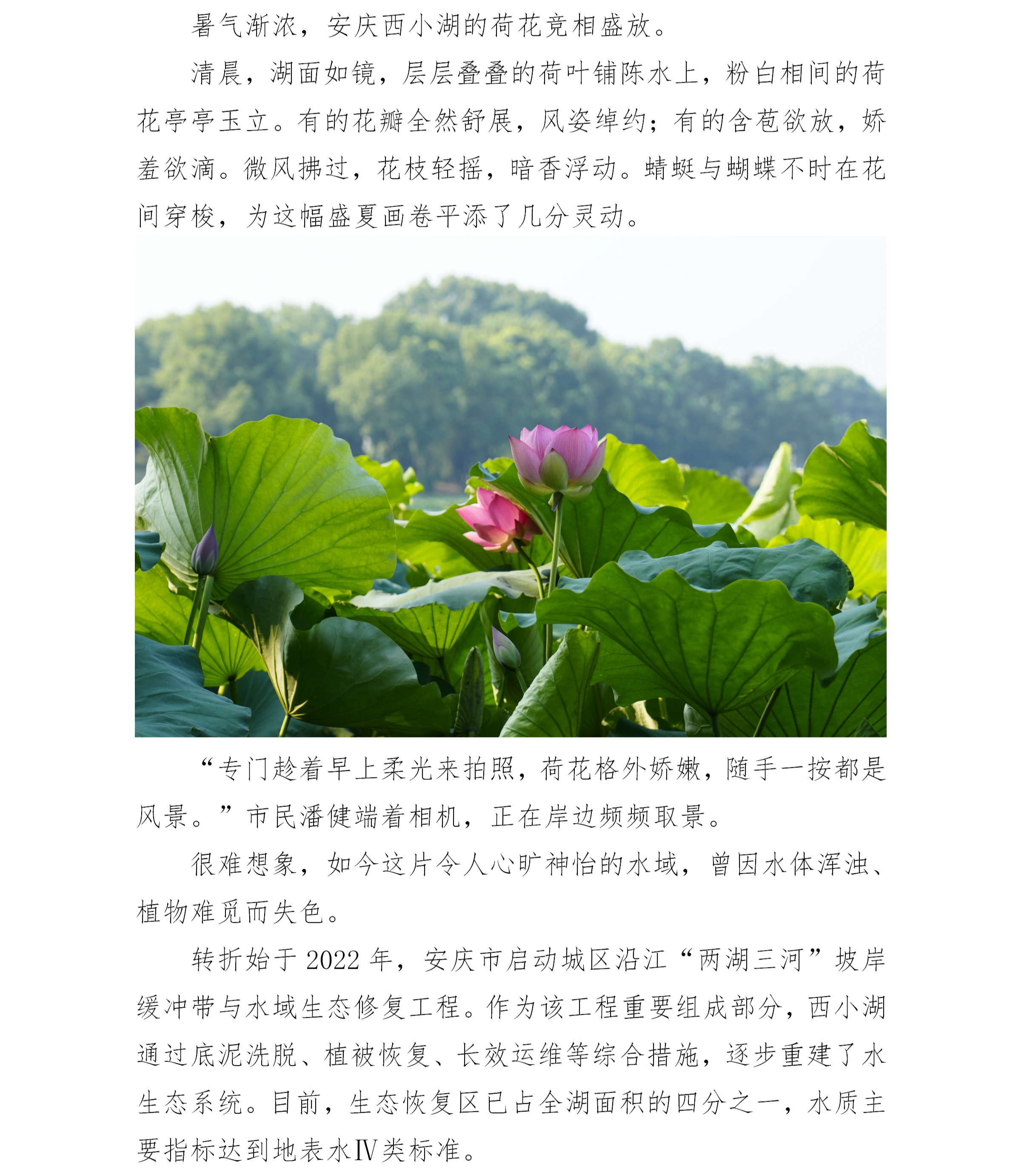 安庆西小湖