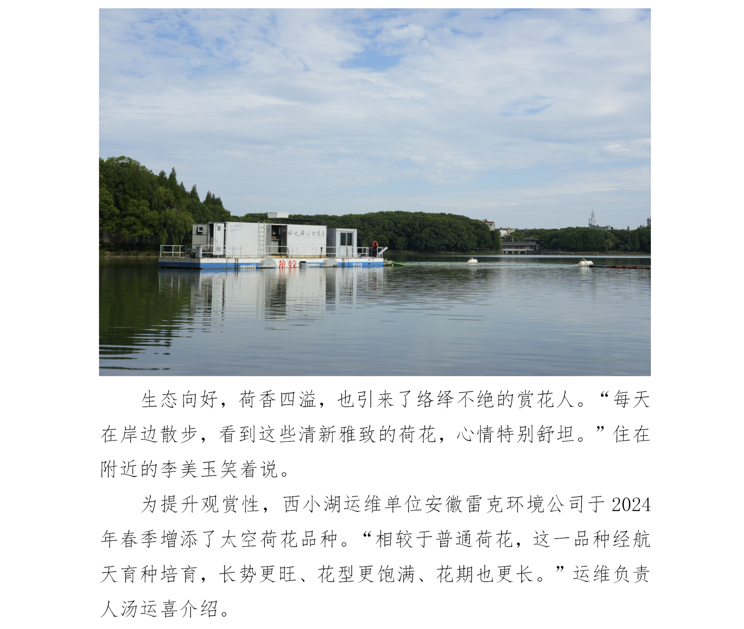 安庆西小湖
