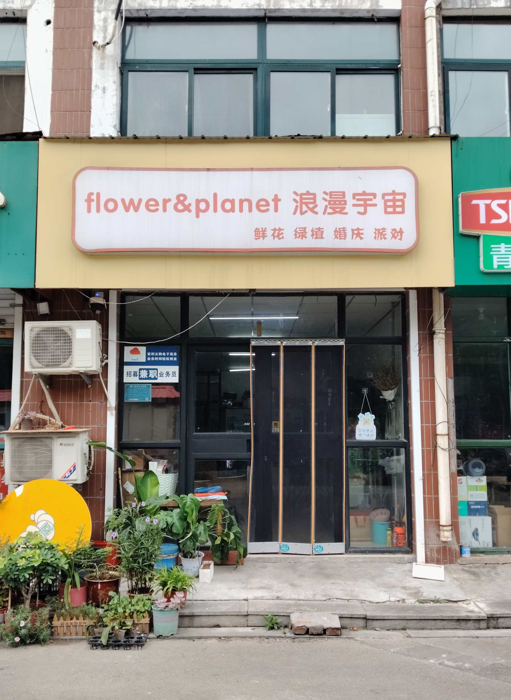 鲜花