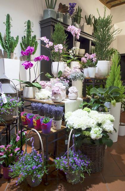 鲜花