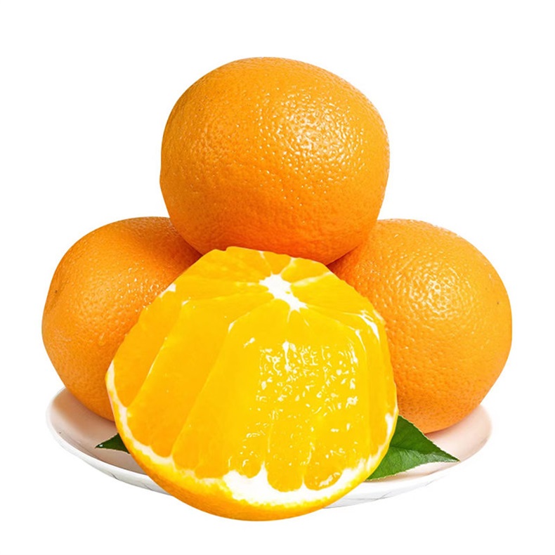 橙子
