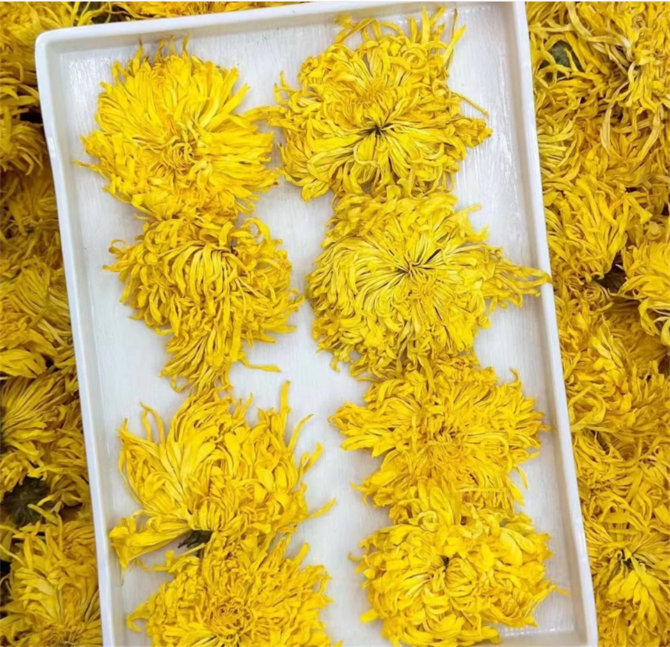 菊花茶