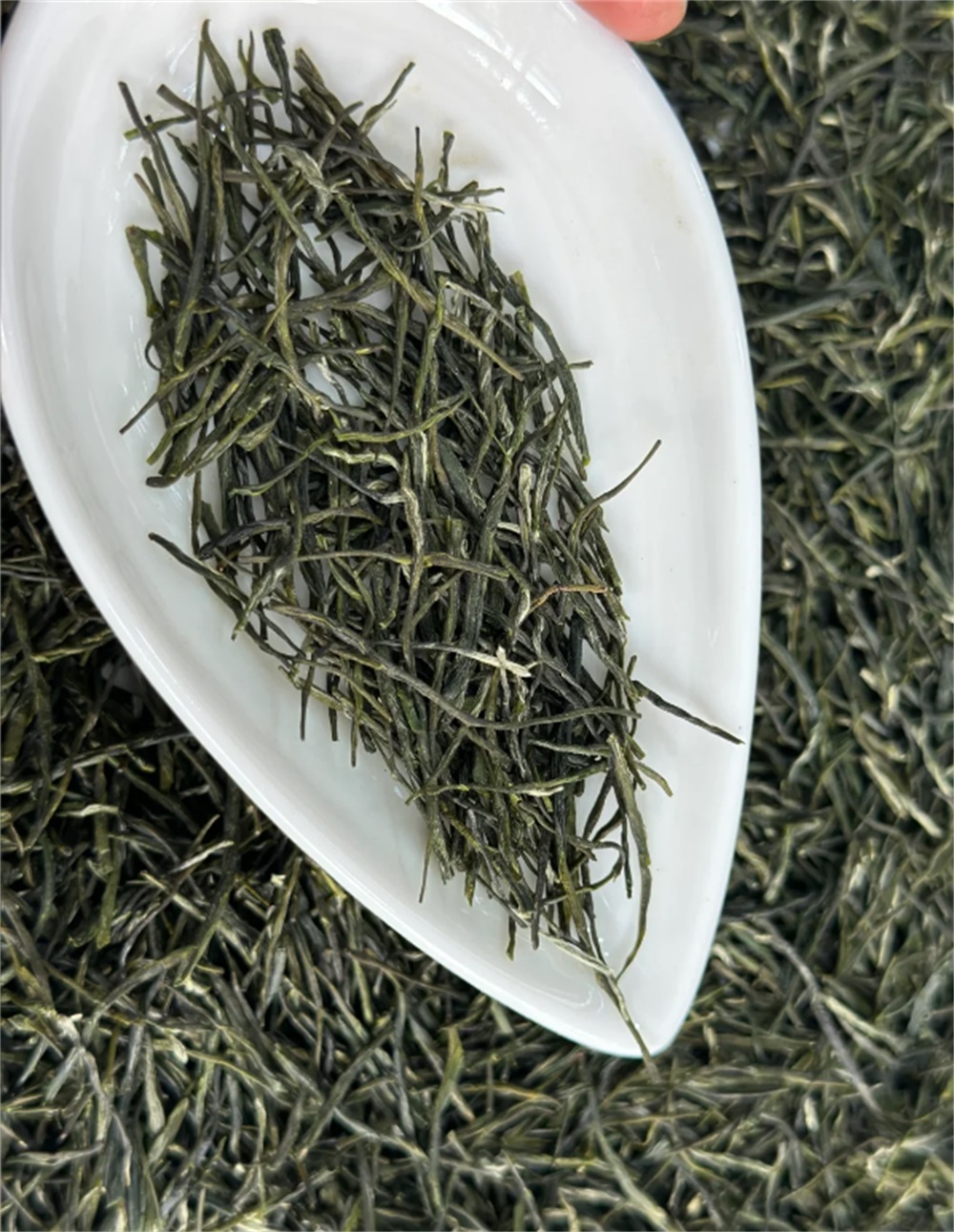 绿茶