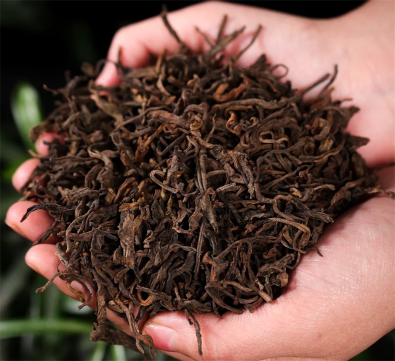 普洱茶