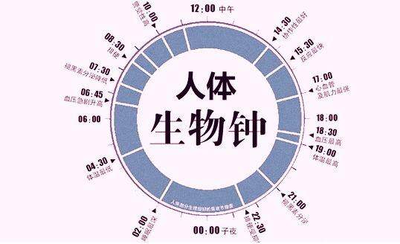 身体根基